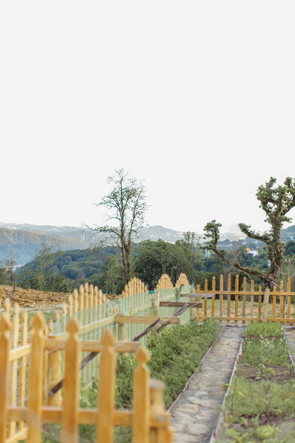 Brown wooden fence in a garden