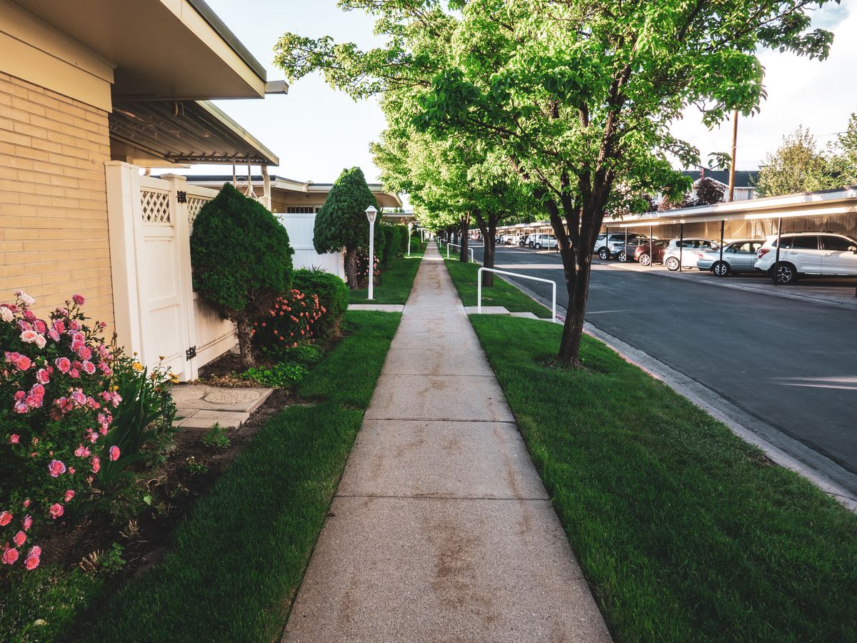 Residential sidewalk lined with trees
